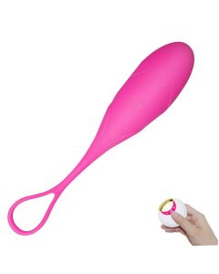 Wireless Remote Vibrating Egg Ben Wa Ball Kegel Ball Vaginal Übung USB wiederaufladbar für weibliche