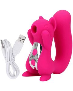 Nippel Saugen Klitoris Lecken Vibrator Sexspielzeug 10 Frequenz Saugen 10 Frequenz Vibration