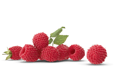 Raspberry Image